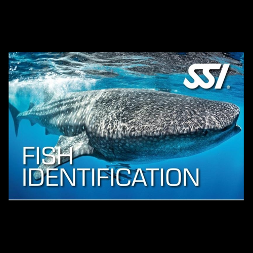Fish Identification 